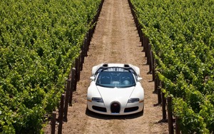 Bugatti Veyron Bugatti Veyron