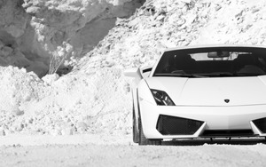 Lamborghini Gallardo Lamborghini Gallardo